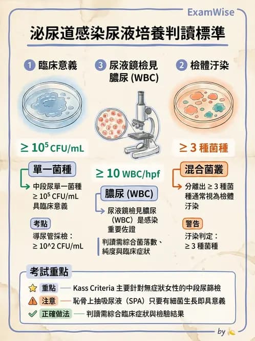 醫檢師 - 感染症與院內感染 - AI 圖文解析預覽