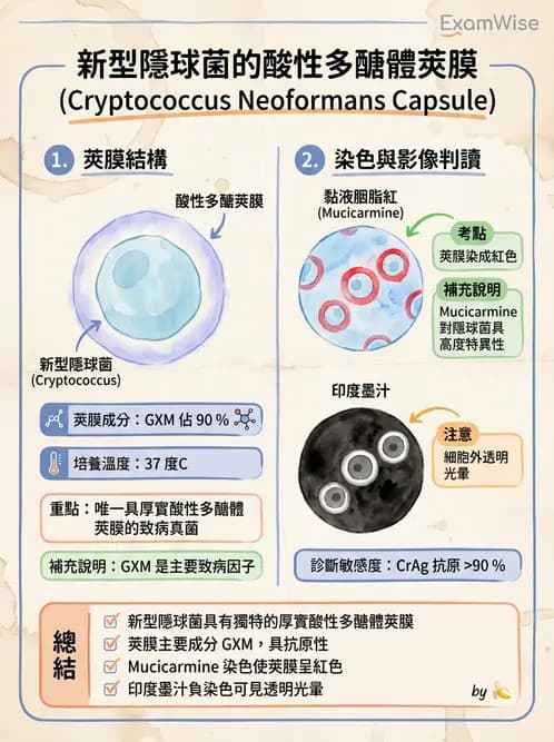 醫檢師 - 系統性與機會性真菌感染 - AI 圖文解析預覽