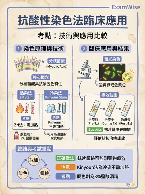 醫檢師 - 分枝桿菌 - AI 圖文解析預覽