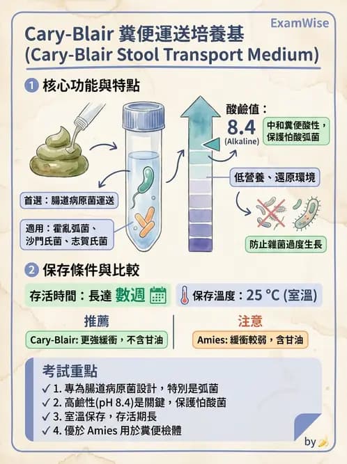 醫檢師 - 檢驗基礎技術 - AI 圖文解析預覽