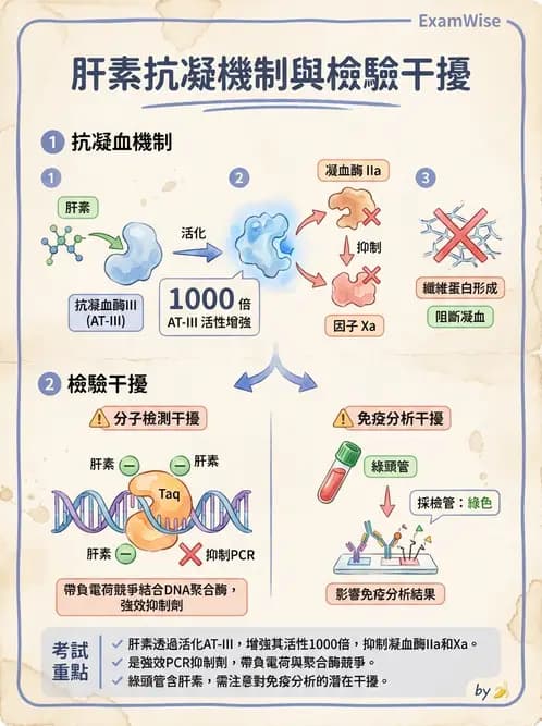 醫檢師 - 品質管理與數據判讀 - AI 圖文解析預覽