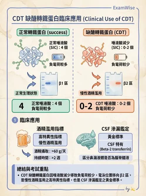醫檢師 - 血清蛋白與蛋白質檢測 - AI 圖文解析預覽
