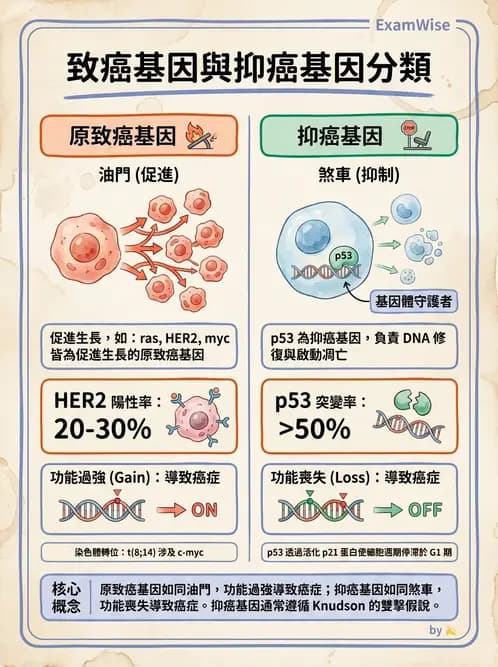 醫檢師 - 腫瘤標誌 - AI 圖文解析預覽