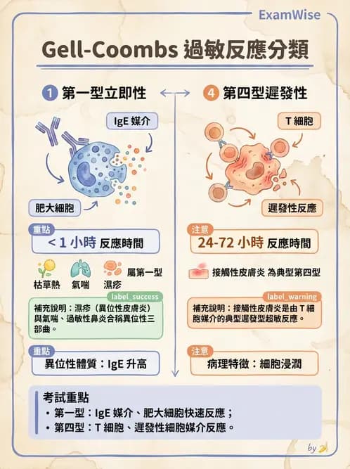 醫檢師 - 過敏反應及測試法 - AI 圖文解析預覽