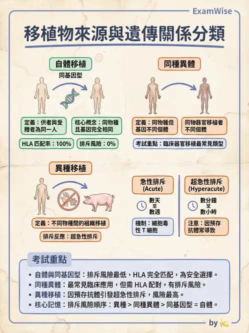 醫檢師 - 組織型與移植免疫學 - AI 圖文解析預覽