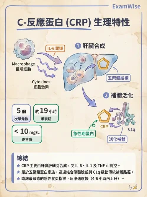 醫檢師 - 急性發炎蛋白與微生物感染血清學 - AI 圖文解析預覽