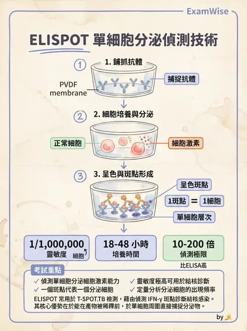 醫檢師 - 實驗室測試免疫法 - AI 圖文解析預覽