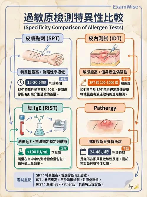 醫檢師 - 過敏反應及測試法 - AI 圖文解析預覽