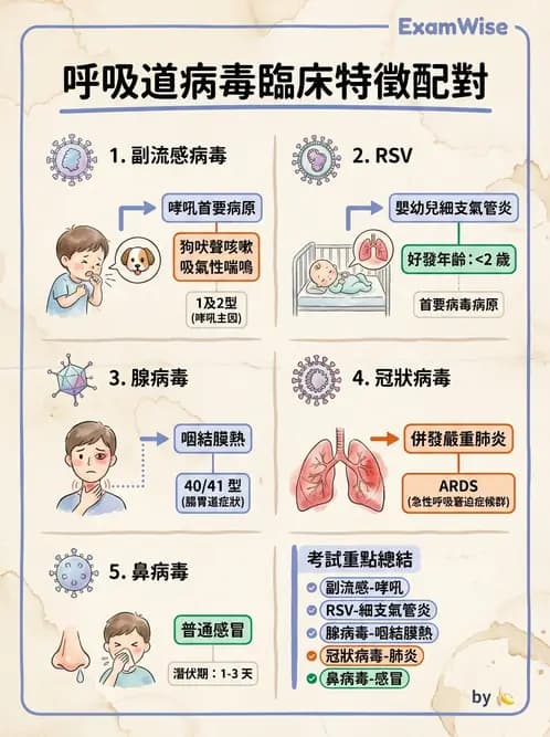 醫檢師 - 副黏液病毒科 - AI 圖文解析預覽