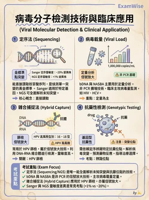 醫檢師 - 病毒檢驗技術 - AI 圖文解析預覽