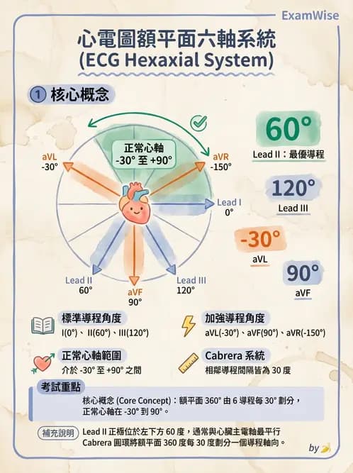 醫檢師 - 心電圖基礎與判讀 - AI 圖文解析預覽