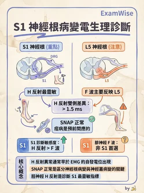 醫檢師 - 神經肌肉與睡眠檢查 - AI 圖文解析預覽