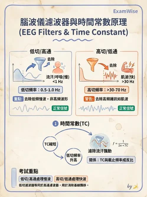 醫檢師 - 腦電圖檢查 - AI 圖文解析預覽