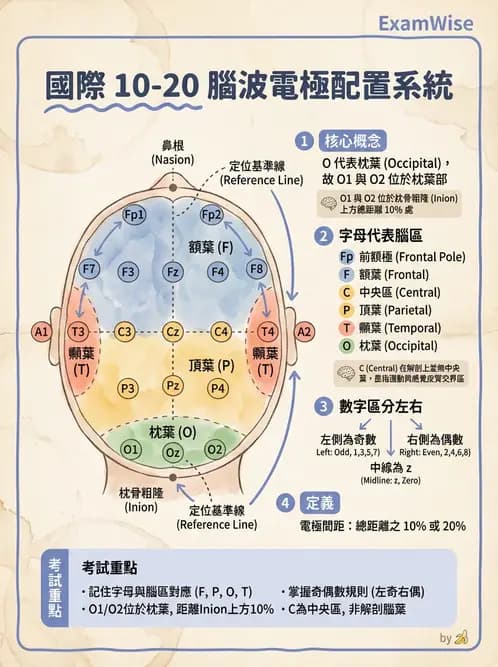 醫檢師 - 腦電圖檢查 - AI 圖文解析預覽