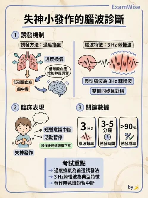 醫檢師 - 腦電圖檢查 - AI 圖文解析預覽