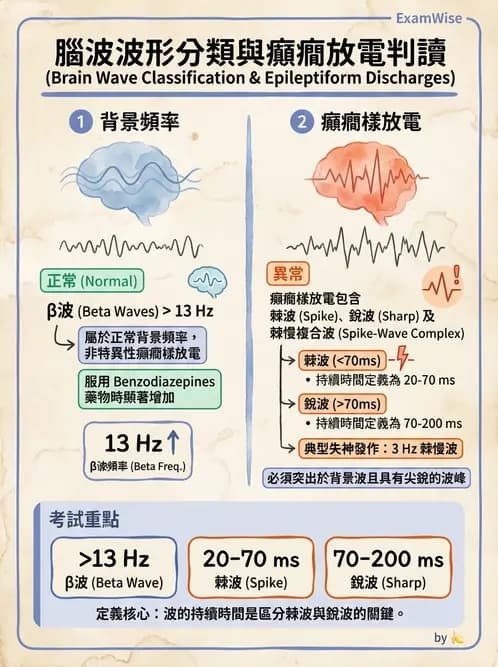醫檢師 - 腦電圖檢查 - AI 圖文解析預覽
