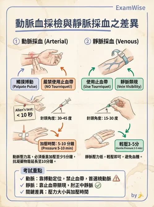 醫檢師 - 血液氣體分析 - AI 圖文解析預覽