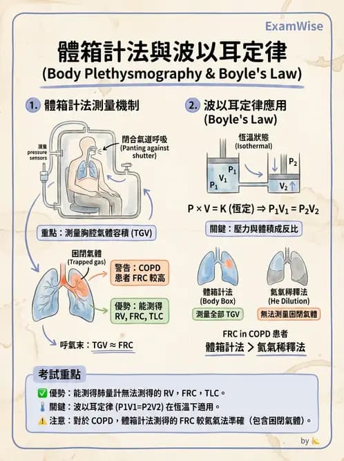 醫檢師 - 肺功能基礎與指標 - AI 圖文解析預覽