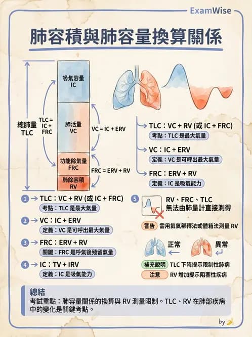 醫檢師 - 肺功能基礎與指標 - AI 圖文解析預覽