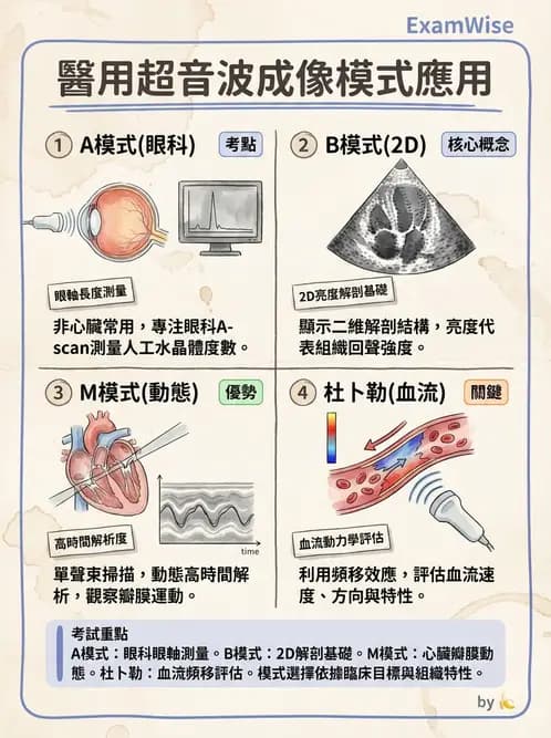 醫檢師 - 超音波檢查 - AI 圖文解析預覽