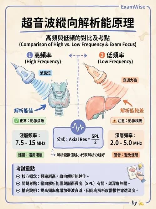 醫檢師 - 超音波檢查 - AI 圖文解析預覽