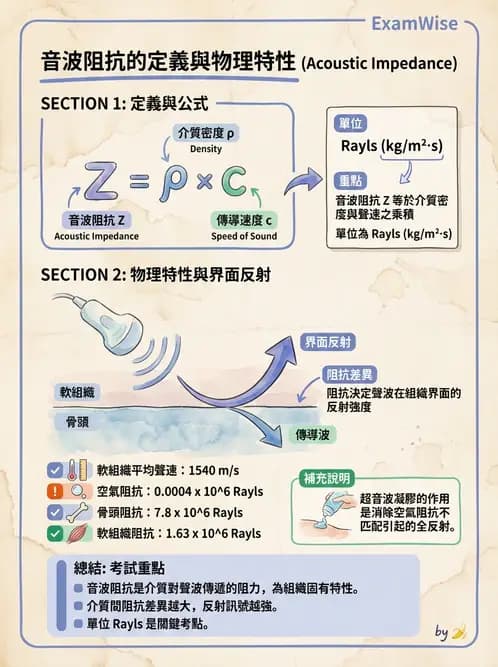 醫檢師 - 超音波檢查 - AI 圖文解析預覽