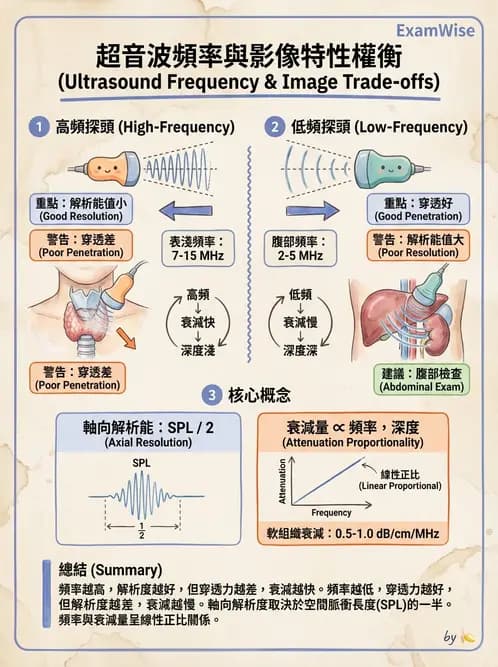 醫檢師 - 超音波檢查 - AI 圖文解析預覽