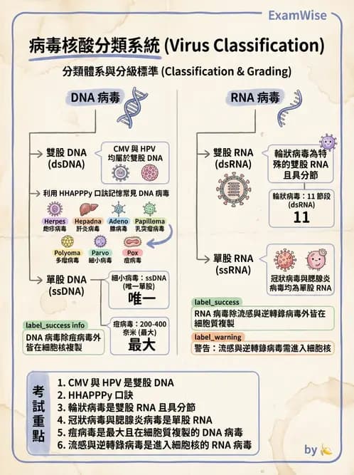 醫檢師 - 感染 - AI 圖文解析預覽
