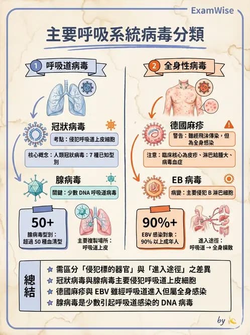 醫檢師 - 感染 - AI 圖文解析預覽