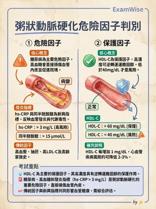 醫檢師 - 心血管疾病 - AI 圖文解析預覽