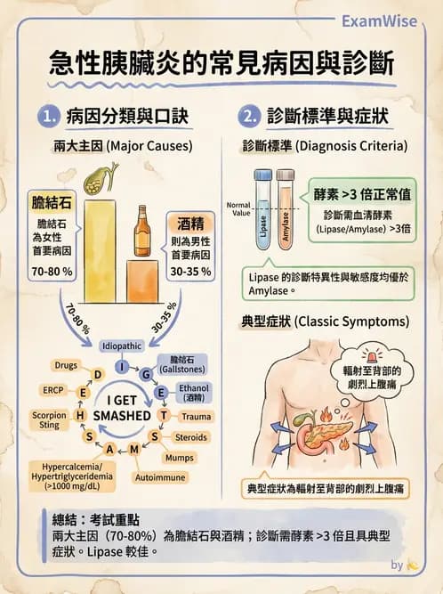 醫檢師 - 消化肝膽疾病 - AI 圖文解析預覽