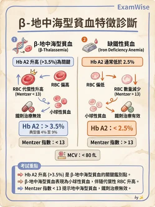醫檢師 - 溶血性貧血與血色素病變 - AI 圖文解析預覽