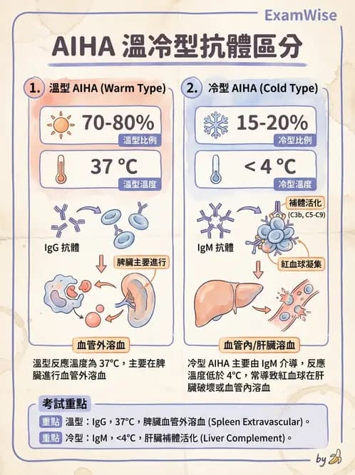 醫檢師 - 溶血性貧血與血色素病變 - AI 圖文解析預覽