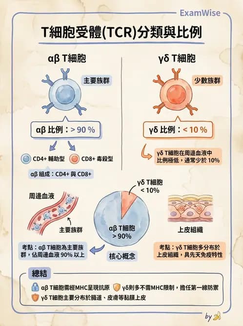 醫檢師 - 白血球生理與形態 - AI 圖文解析預覽