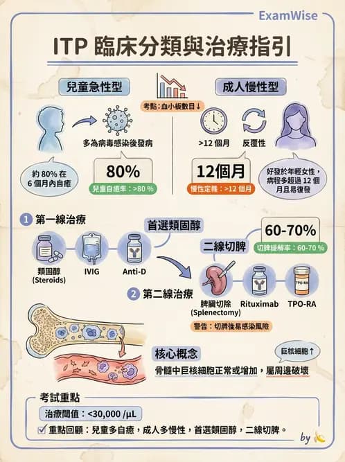 醫檢師 - 出血性疾病與檢驗 - AI 圖文解析預覽