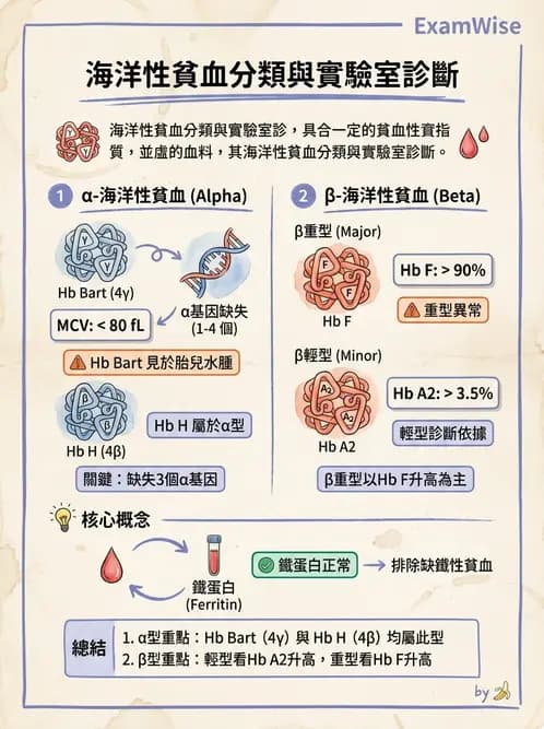 醫檢師 - 溶血性貧血與血色素病變 - AI 圖文解析預覽