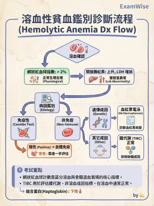醫檢師 - 溶血性貧血與血色素病變 - AI 圖文解析預覽