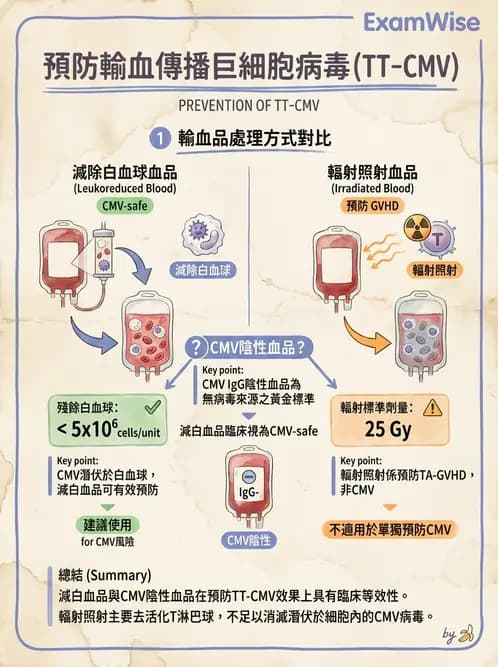 醫檢師 - 輸血反應與血庫品管 - AI 圖文解析預覽