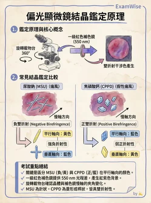 醫檢師 - 顯微鏡原理與操作 - AI 圖文解析預覽