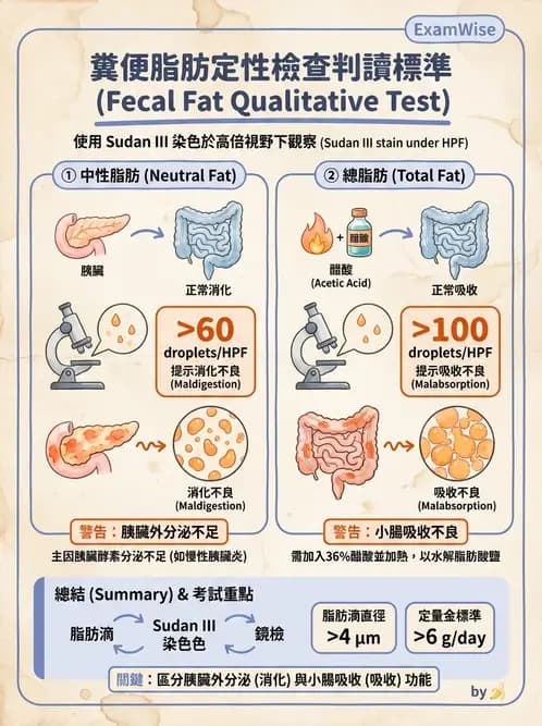 醫檢師 - 糞便常規檢查 - AI 圖文解析預覽