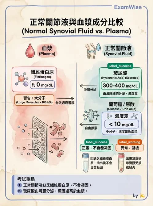 醫檢師 - 滑膜液檢查 - AI 圖文解析預覽