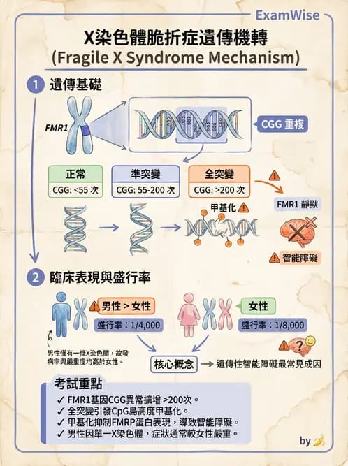 醫檢師 - 遺傳疾病基因檢測 - AI 圖文解析預覽
