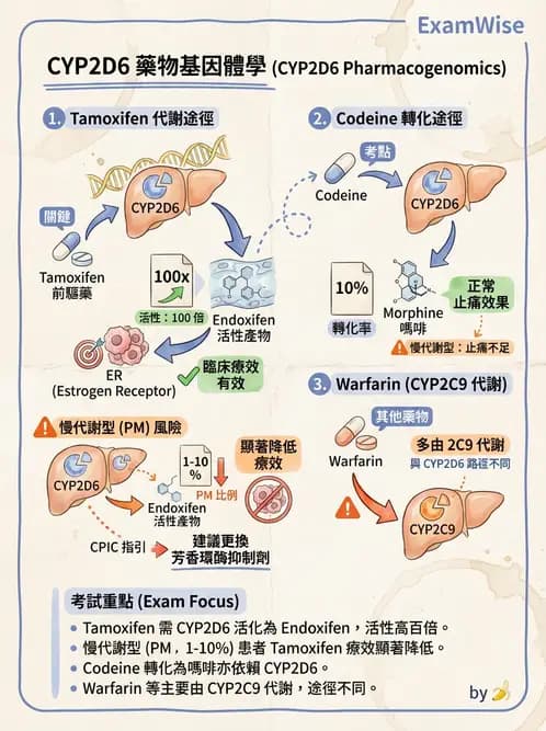 醫檢師 - 藥物相關基因檢測 - AI 圖文解析預覽