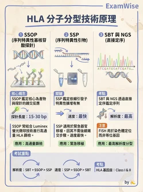 醫檢師 - 分子鑑定與應用技術 - AI 圖文解析預覽