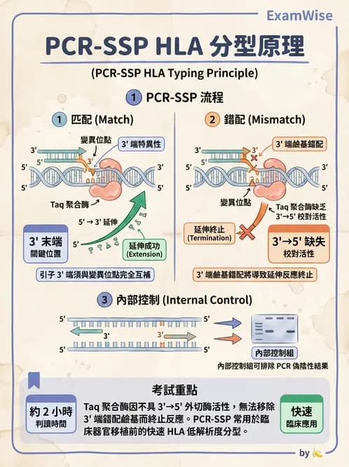 醫檢師 - 分子鑑定與應用技術 - AI 圖文解析預覽