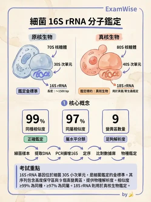 醫檢師 - 分子鑑定與應用技術 - AI 圖文解析預覽