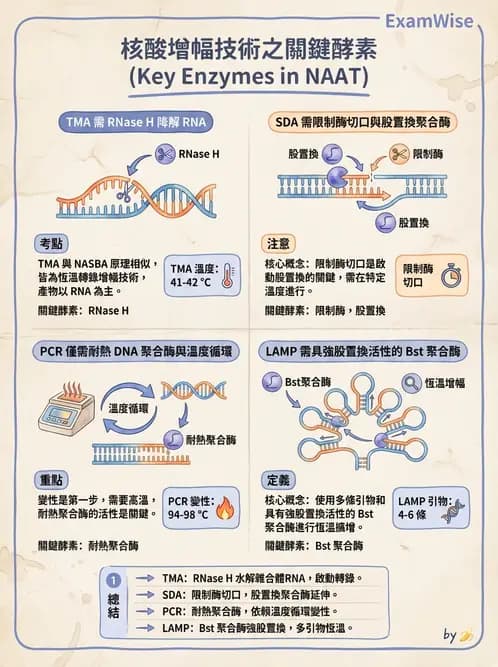 醫檢師 - 核酸擴增與萃取技術 - AI 圖文解析預覽