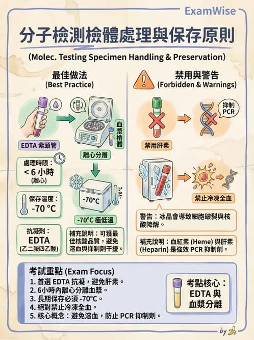醫檢師 - 核酸擴增與萃取技術 - AI 圖文解析預覽