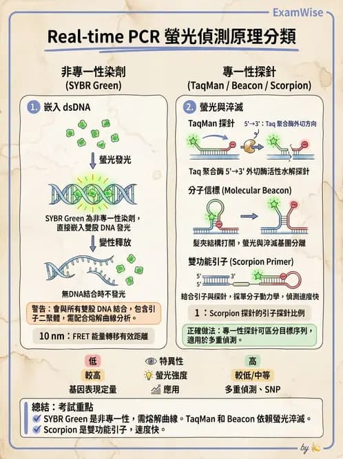 醫檢師 - 核酸擴增與萃取技術 - AI 圖文解析預覽