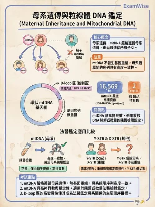 醫檢師 - 分子鑑定與應用技術 - AI 圖文解析預覽